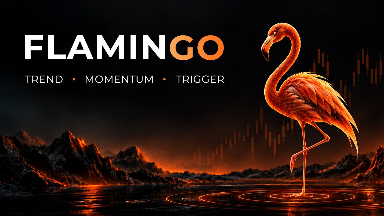 FLAMINGO_1791367094624_2026-10-07T09:58:14.jpg