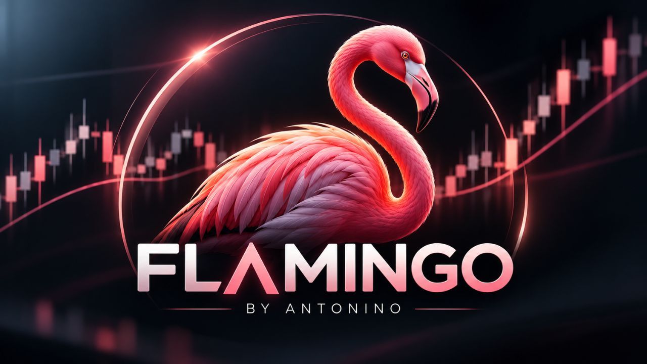 flamingo_1790836872152_2026-10-01T06:41:12.jpg