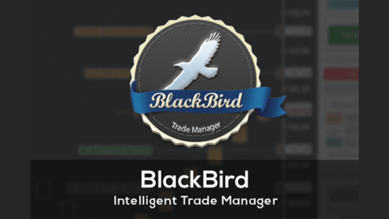 shark-blackbird.png