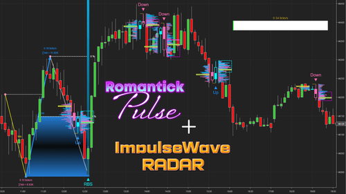 Smart Zoom Indicator For NinjaTrader 8 - ninZa.co