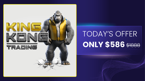 Smart Zoom Indicator For NinjaTrader 8 - ninZa.co