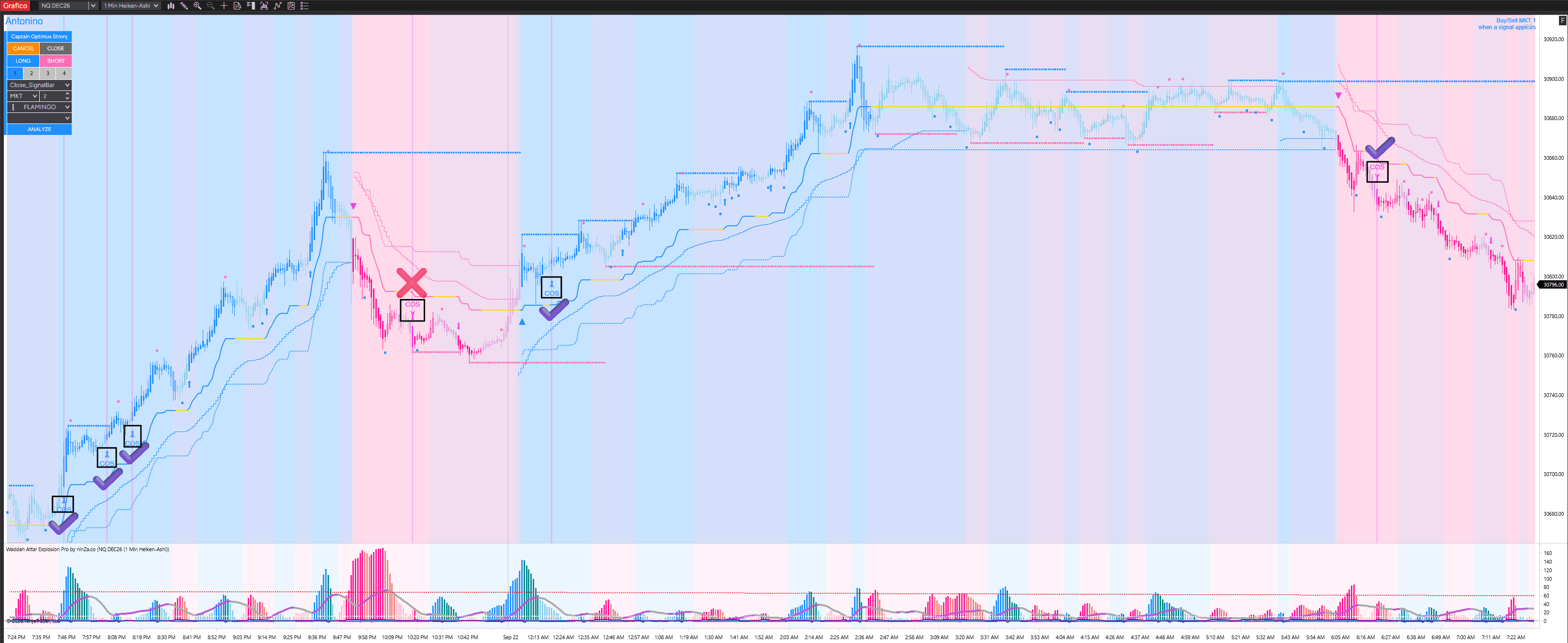 standard-flamingo-chart-2_1790327733819_2026-09-25T09:15:33.png