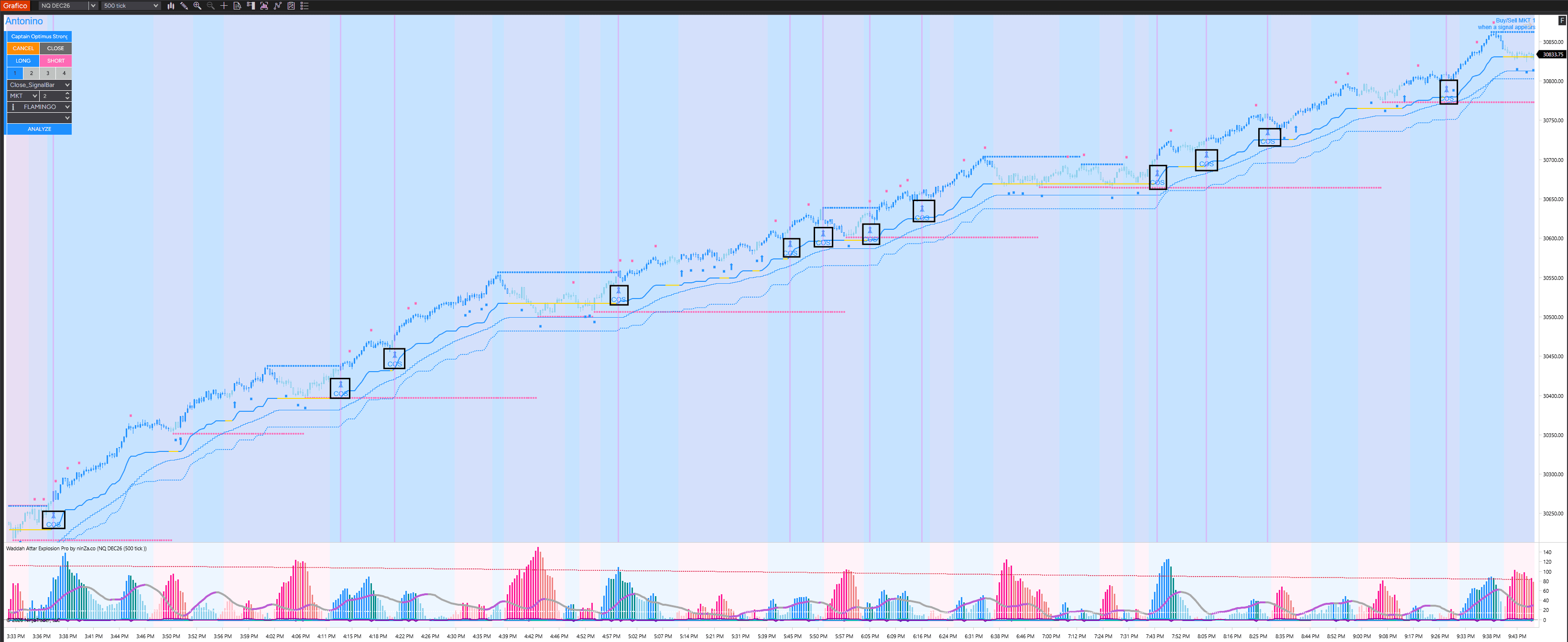 standard-flamingo-chart-3_1790327733415_2026-09-25T09:15:33.png